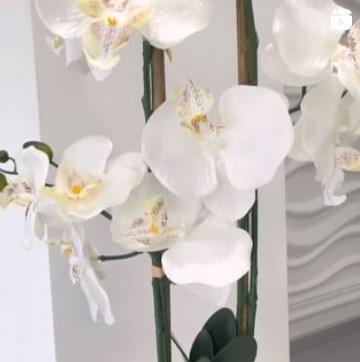 slider image slider image